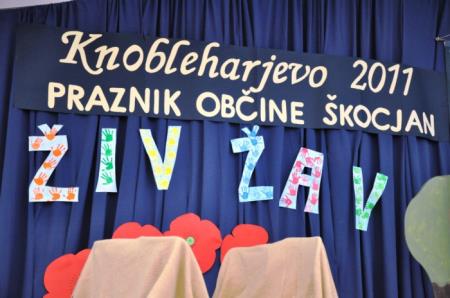 KNOBLEHARJEVO 2011 - Živ Žav 22